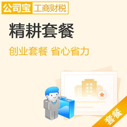 北京精耕套餐 一站式內(nèi)資公司注冊(cè)與財(cái)稅管理解決方案